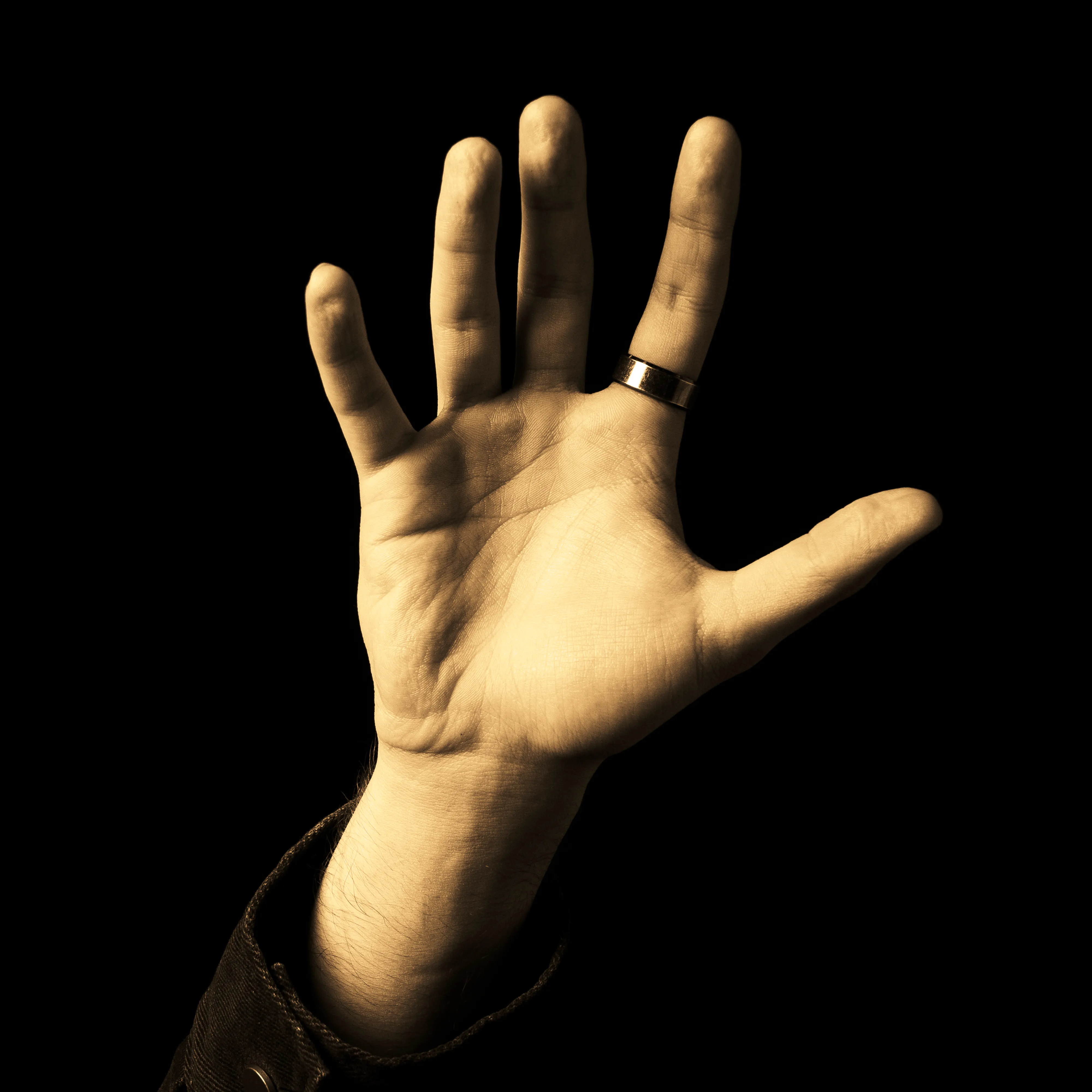 System of a Down - System of a Down (1998)